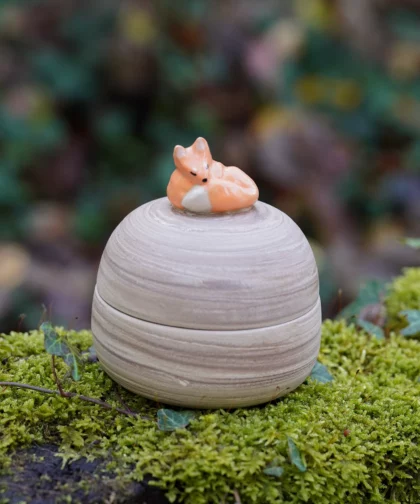 Grande boîte renard paresseux (collab Amypiou)