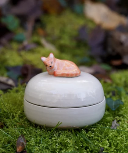 Grande boîte chat curieux (collab Amypiou)