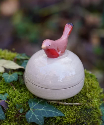 Petite boîte rouge gorge chanteur (collab Amypiou)