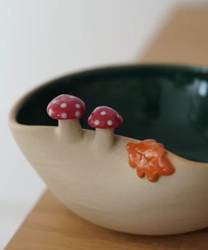 Bolinet champignons fripons